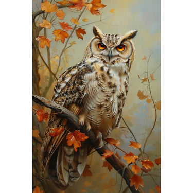 Barn Owl Canvas